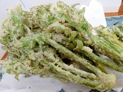 必ずからりと揚がる タラの芽の天ぷら レシピ 作り方 By 夏はぜ 楽天レシピ 必ずからりと揚がる タラの芽の天ぷら レシピ 作り方 By 夏はぜ 楽天レシピ